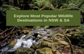 Explore Most Popular Wildlife Destinations in NSW & SA - Australis Wisemans Ferry