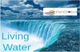 DynGlobal - Central America & Southern Cone Global_water_solutions
