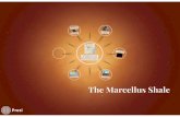 Featured Shale Play: The Marcellus Shale