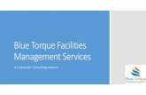 Blue torque contract staffing