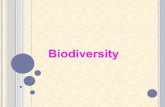 M.Ed EVS Topic- biodiversity