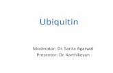 Ubiquitin proteolytic system