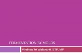 Fermentation by molds