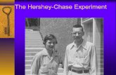 The hershey chase experiment