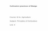 B.sc. agri i po h unit 4.7 cultivation practices of mango