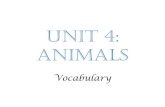 Science unit 4. Vocabulary