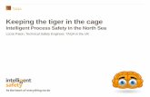 Keeping the tiger in the cage - Intelligent process safety in the North Sea (Lizzie Paton Technical Safety Engineer TAQA, UK)