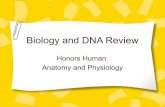 DNA review