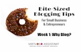 Bite-Sized Blogging Tips: Why Blog?