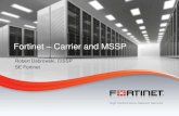 PLNOG14: Fortinet, Carrier and MSSP - Robert Dąbrowski