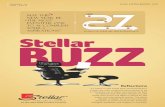 StellarGlonbal | Buzz Stellar Newsletter 6th edition curve