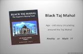 Research on Black Taj, The book on Black Taj. The Mystery of Taj Mahal, Taj Mahal