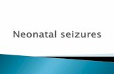Neonatal seizures by Dr. David Maher