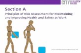 Principles of Risk Assessment for Maintaining and Improving Health and Safety at work