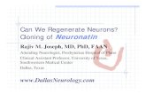 Neuronatin web3