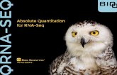 Bioo Scientific - Absolute Quantitation for RNA-Seq
