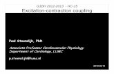G1 bh 2012 2013 hc-15 - excitatie-contractie koppeling - steendijk PDF