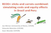 REDD+ sticks and carrots combined: simulating costs and equity effects in Brazil and Peru