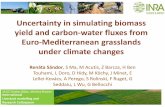 Uncertainty in simulating biomass yield and carbon-water fluxes from Euro-Mediterranean grasslands under Climate Changes_Renata Sándor