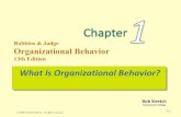 Robbins organizationbehaviour -chapter1 12130920-093