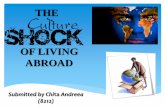 The Culture shock of living abroad