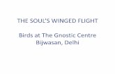 The Soul's Winged Flight