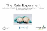 The RATS Experiment: How we Can achieve AMAZING energy savings by Fostering Sustainable Behavior"