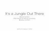 It's a Jungle Out There – IoT and MRuby