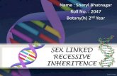 Sex linked recessive inheritence