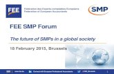 Slides The future of SMP Brussels 180215 with FEE SMP and IFAC SMP