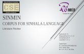 Sinmin Literature Review Presentation
