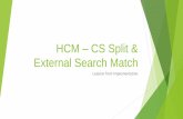 External Search Match