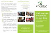 Colorss Foundation Brochure 2013