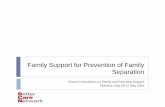 Family support for prevention of family separation
