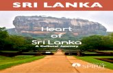 Holiday Planning with Small Group Tours Package in Sri Lanka