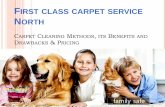 Carpet cleaner Seattle service