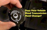 Does Your Vehicle Need Transmission Fluid Change