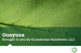 Guayusa from Ecuadorian Rainforest, LLC