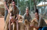 Lion park volunteer opportunities in south africa