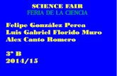 Science Fair experience Jerez 2015