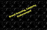 Brand licensing, celebrity endorsement