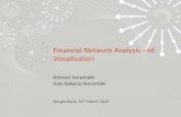 Financial Network Analysis and Visualisation - Talk at Norges Bank 30 March 2011
