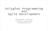 Polyglot programming and agile development