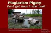 Plagiarism Pigsty