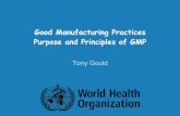 1 3 gmp-purpose-principles-guidelines