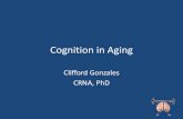 Cognition in aging