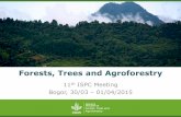 Forests, trees and agroforestry - Robert Nasi