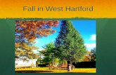 Most beautiful locations around West Hartford for Fall scenery.