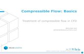 Compressible flow basics