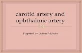 Carotid artery and ophthalmic artery2 (2)